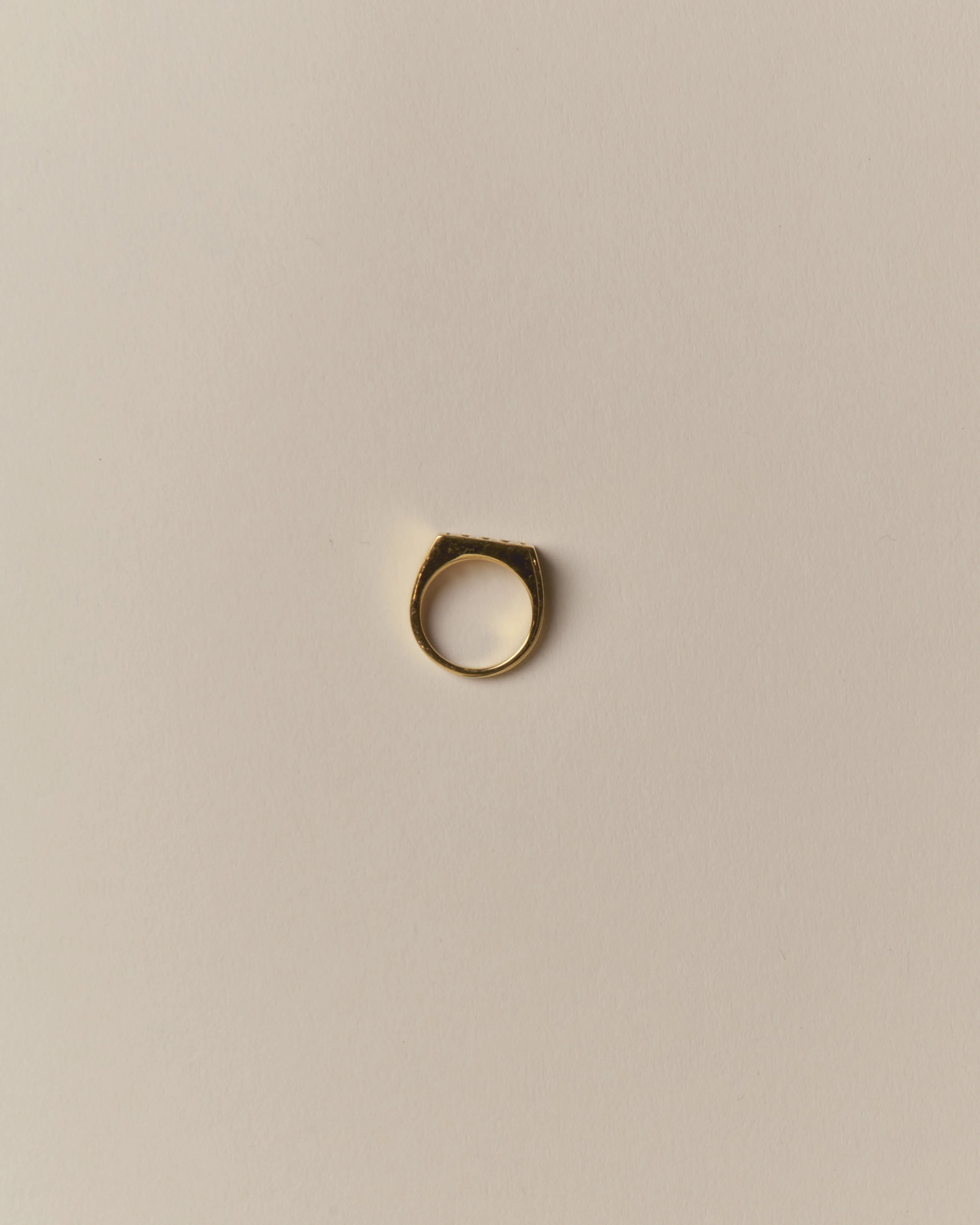 Charlie Rectangle Signet Ring 14K Recycled Gold Vermeil