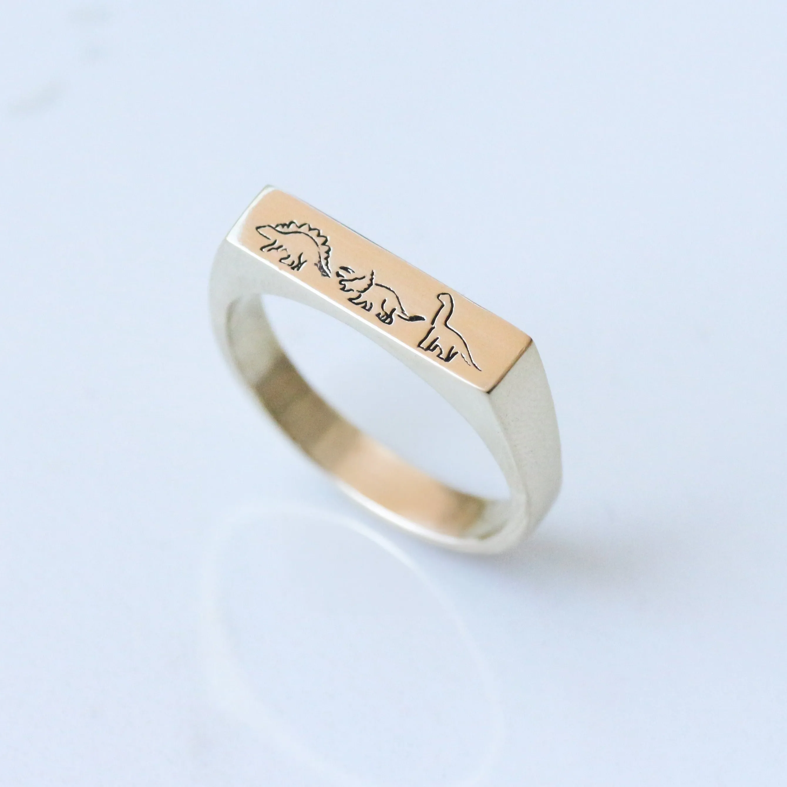 Dino Signet ring 14k