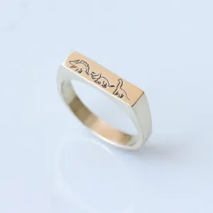 Dino Signet ring 14k